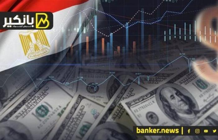 من 10 دول.. خطة مصر لاستهداف أكبر 10 شركات في العالم لدخول السوق المصري