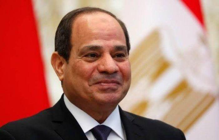 الرئيس السيسي: مصر تتمتع بعلاقات قوية واتفاقيات مع الدول الأفريقية والعربية