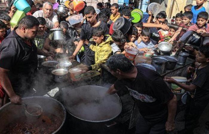 سفير مصر السابق بدولة الاحتلال: التجويع الموجود في قطاع غزة "مرعب"