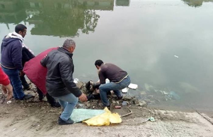 فتاة ملقاة في النيل وآخر جسده ممزق بكفر شكر