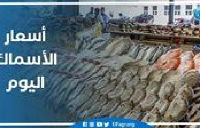 أسعار السمك اليوم الاثنين 2-12-2024 في محافظة قنا