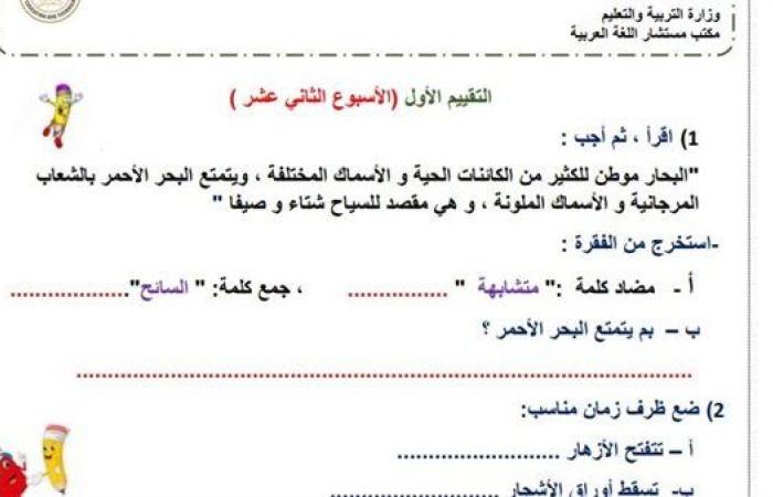 مراجعات نهائية.. لطلاب الصف الثالث الابتدائي.. أسئلة تقييم الاسبوع الـ 12 في اللغة العربية