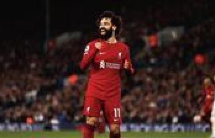 نيوكاسل يونايتد ضد ليفربول.. محمد صلاح يستهدف معادلة رقم تهديفى جديد