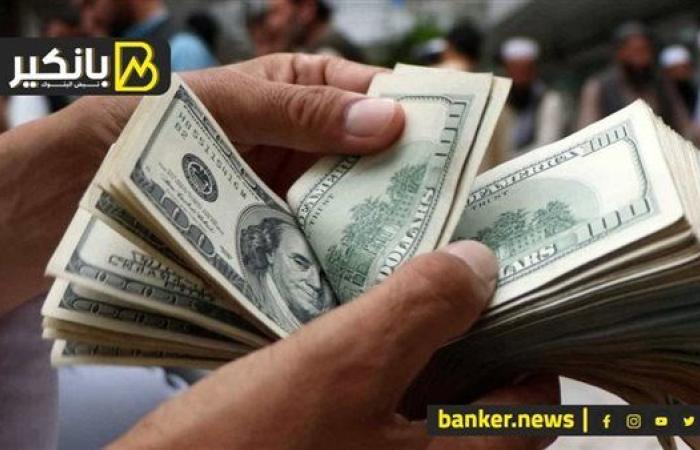 سعر الدولار أمام الجنيه المصري في تعاملات اليوم السبت 7-12-2024