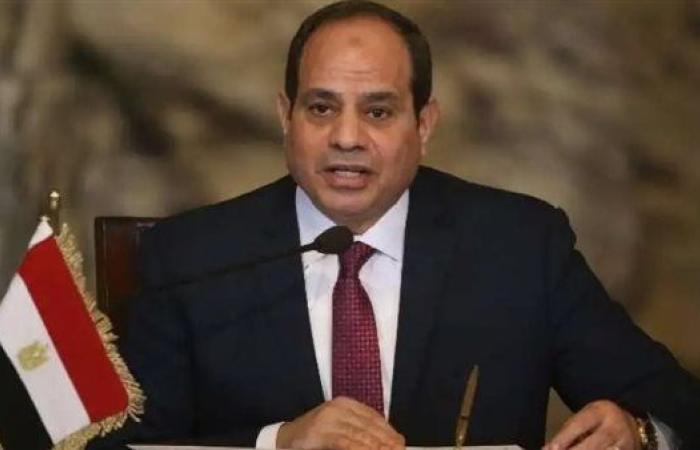 السيسي: إطلاق مجلس الأعمال المصرى الدنماركى يعكس أهمية تعزيز العلاقات الاقتصادية