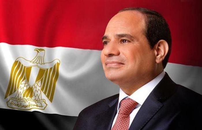 السيسي يؤكد أهمية تمكين القطاع الخاص وجذب المزيد من الاستثمارات الأجنبية المباشرة إلى مصر