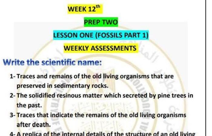 مراجعات نهائية.. أسئلة تقييم الأسبوع الـ 12 العلوم Science لـ الصف الثاني الإعدادي