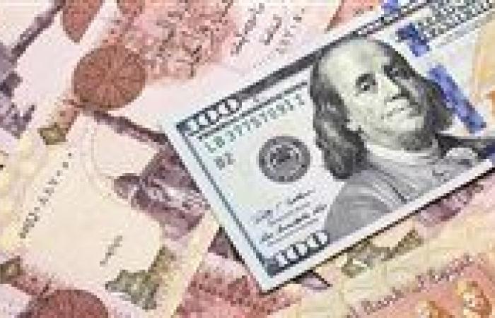 سعر صرف الدولار مقابل الجنيه المصري يلامس مستوى قياسياً جديداً