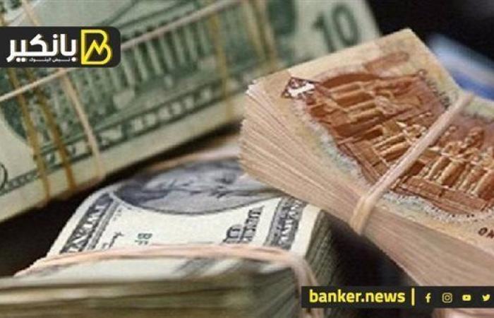 سعر الدولار أمام الجنيه المصري في تعاملات اليوم الجمعة 13-12-2024