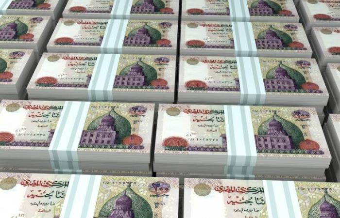 CIB وQNB مصر يستحوذان على 60.3% من القروض المشتركة ...