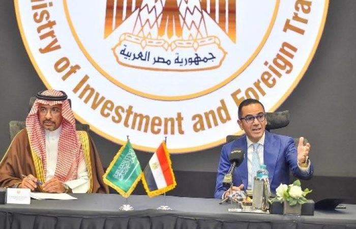 حسن الخطيب: مصر والسعودية ترتبطان بعلاقات تاريخية وثنائية متميزة