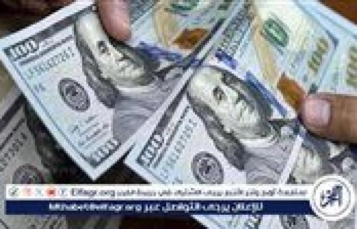 استقرار سعر الدولار مقابل الجنيه المصري اليوم الأربعاء 18 ديسمبر 2024 في البنوك المصرية