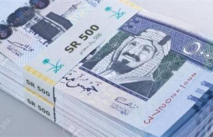 سعر الريال السعودي أمام الجنيه المصري في تعاملات اليوم السبت 21-12-2024