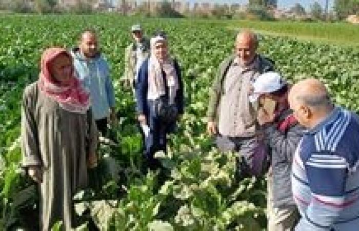 البحوث الزراعية يستعرض حصاد أنشطة مبادرة المراكز الإرشادية الزراعية خلال النصف الأول من شهر ديسمبر 2024