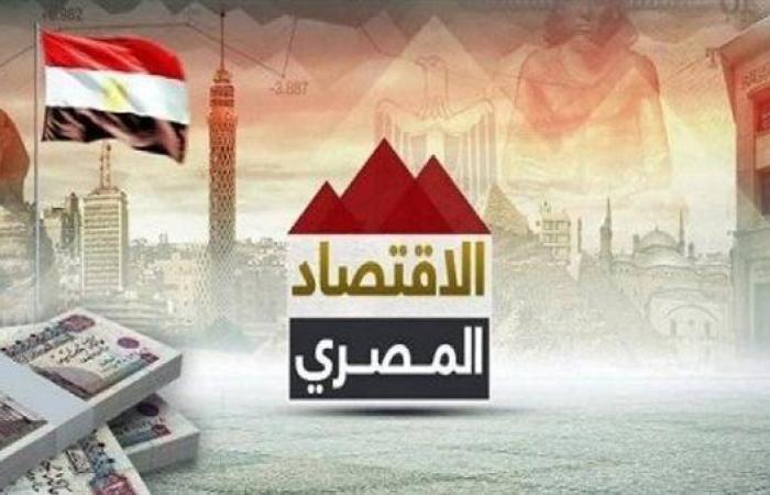 الاقتصاد المصري ينجح في الاختبار الصعب.. كيف تحول 2024 من عام المحنة إلى المنحة؟