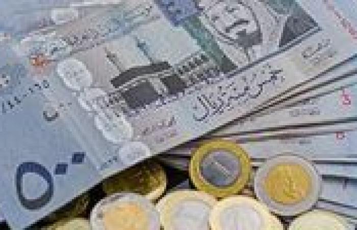 سعر الريال السعودي مقابل الجنيه المصري اليوم الثلاثاء 24 ديسمبر 2024