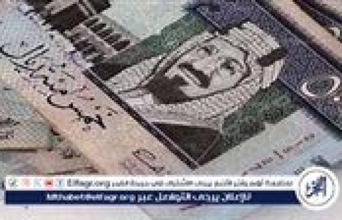 سعر الريال السعودي اليوم الأحد 29 ديسمبر 2024: استقرار بعد الانخفاض الأخير