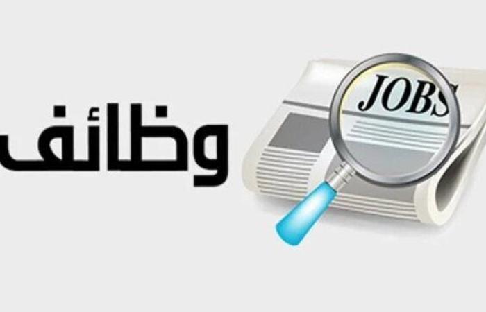 عاجل.. براتب يتخطى 200 ألف شهريا.. "العمل" تعلن توافر وظائف شاغرة بتلك التخصصات