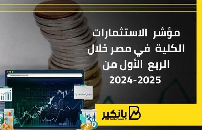 مؤشر الاستثمارات الكلية في مصر خلال الربع الأول من 2024-2025