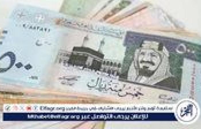 سعر الريال السعودي اليوم الثلاثاء 31 ديسمبر 2024 مقابل الجنيه المصري