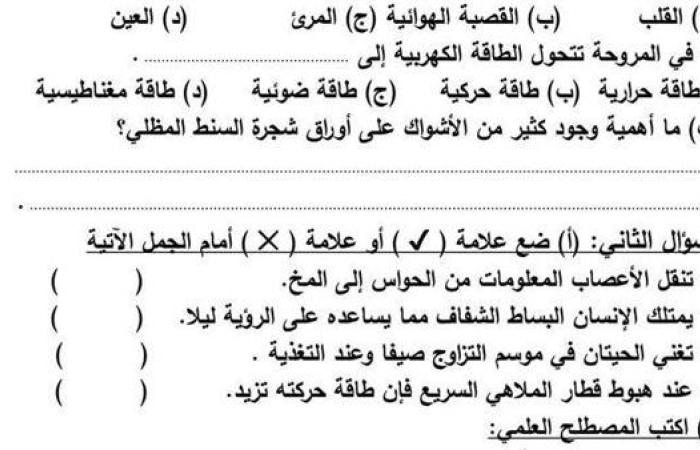 مراجعات نهائية.. 6 نماذج امتحان بالنظام الجديد في العلوم لـ الصف الرابع الابتدائي