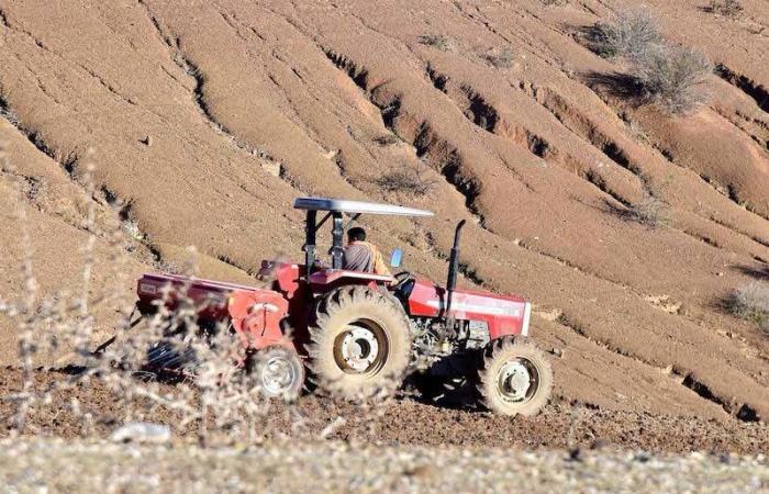 حقول قاحلة شمال المغرب تذكر بالجفاف في تسعينيات القرن الماضي