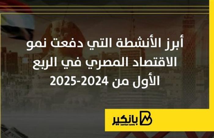 أبرز الأنشطة التي دفعت نمو الاقتصاد المصري في الربع الأول من 2024-2025