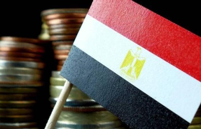 ما ملامح خطة مصر لتعزز نمو الاستثمارات الخاصة خلال الربع الأول من 2024/2025؟