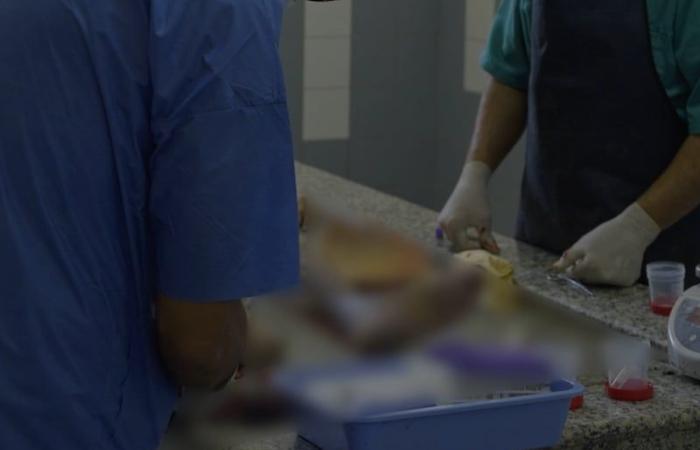 المهمة الاستطلاعية حول الطب الشرعي تستوفي سنة دون تقدم ملموس