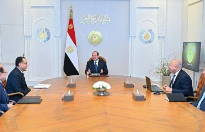 السيسي يُؤكّد ضرورة تسريع جهود الربط مع الدول الأفريقية - غاية التعليمية