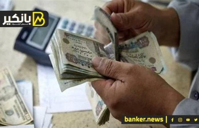 خبير يكشف عن خطة البنوك لطرح شهادات استثمار جديدة بعد انتهاء شهادة الـ27%