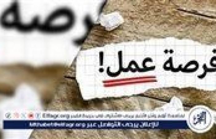 محافظة الجيزة تنظم ملتقى توظيفي للشباب بمرتبات مجزية غدًا..تعرف على الشروط