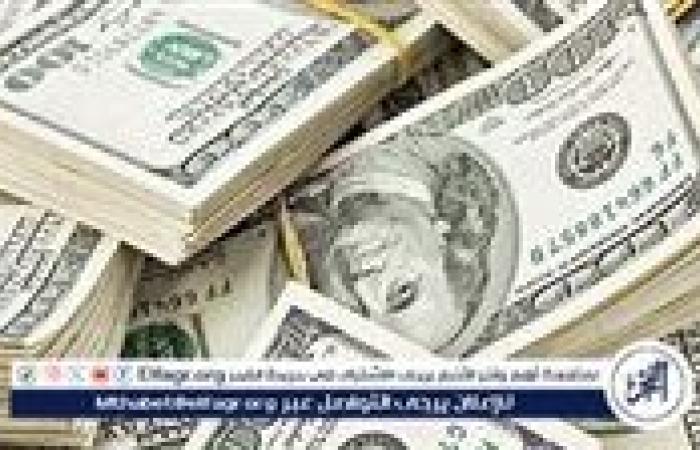 استقرار سعر الدولار مقابل الجنيه المصري اليوم الإثنين 6 يناير 2025