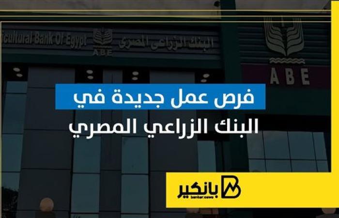 فرص عمل جديدة في البنك الزراعي المصري | إنفوجراف