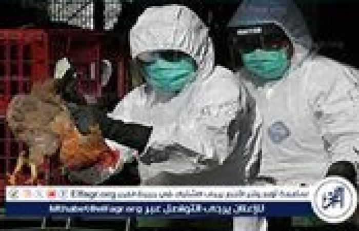 أول وفاة بشرية بسبب إنفلونزا الطيور H5N1 في الولايات المتحدة: التفاصيل والتحذيرات