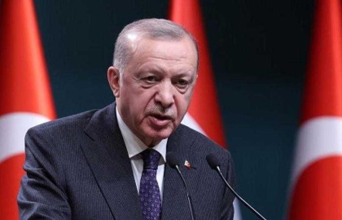 أردوغان: تركيا لا تقبل بتفكك سوريا أو تدمير وحدتها الوطنية