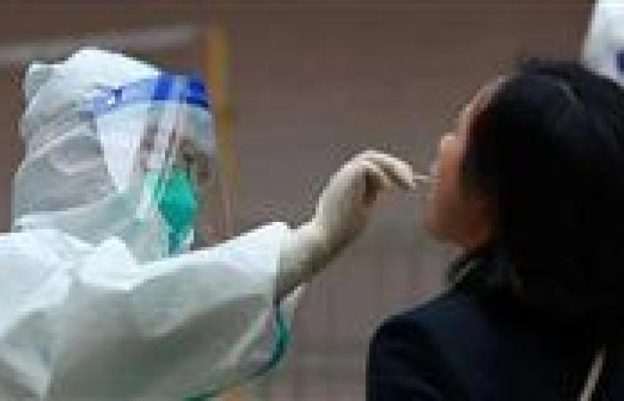 أمريكا تسجل أول حالة وفاة بشرية بسبب إنفلونزا الطيور H5N1