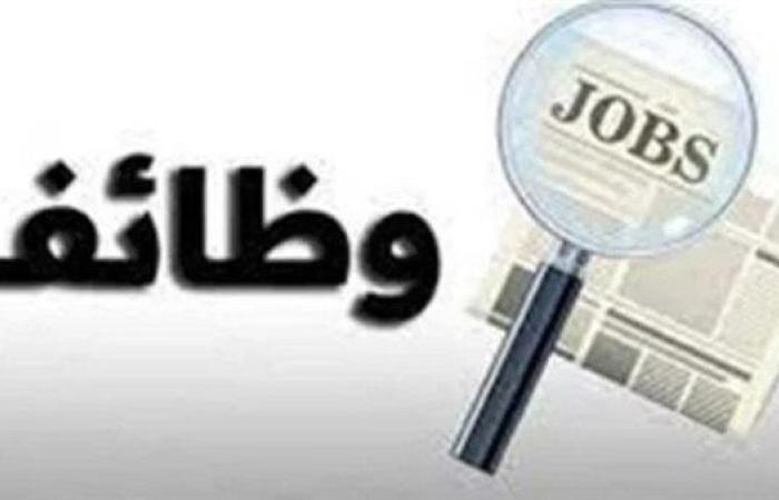 رابط لينك موقع فرصنا للوظائف الخالية .. فرضة متتفوتش في كبرى الشركات