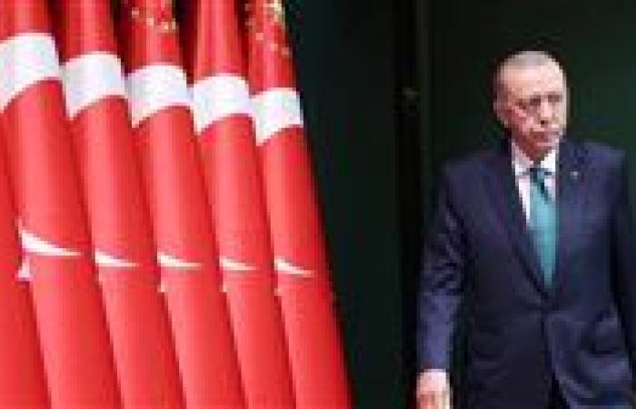 أردوغان يدعو المجتمع الدولي للمشاركة في إعادة إعمار سوريا