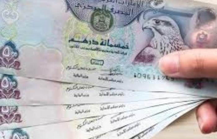 سعر الدرهم الإماراتي اليوم الأربعاء 8-1-2025 في البنوك