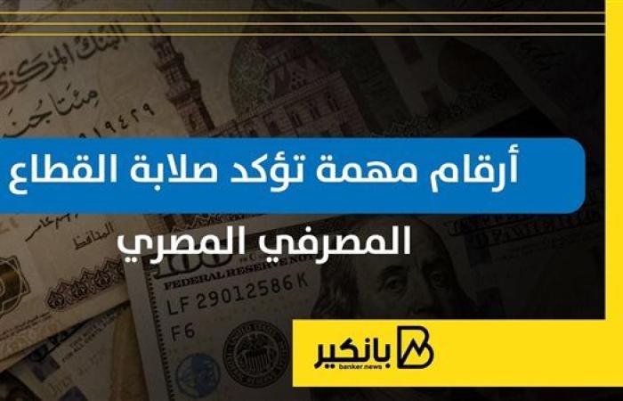 أرقام مهمة تؤكد صلابة القطاع المصرفي المصري | إنفوجراف