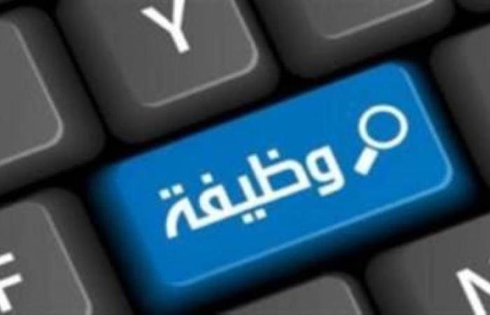 وظيفة خالية في شركة فيزا «الشروط وطريقة التقديم»