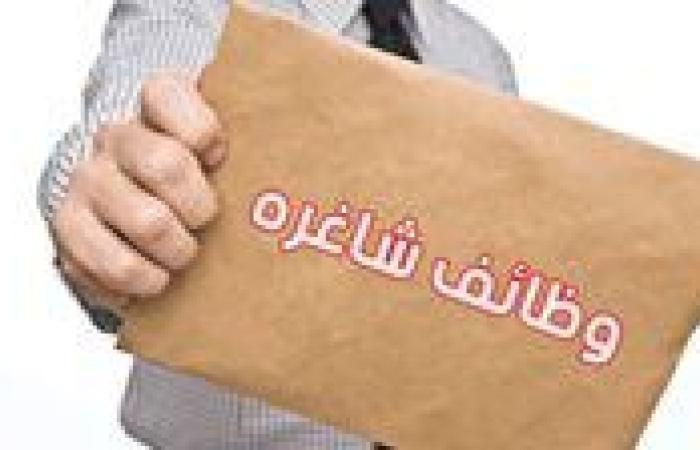 عاجل| فرص عمل في مدارس النيل المصرية الدولية للعام الدراسي 2025-2026.. أعرف الشروط