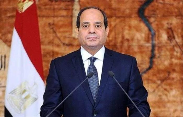 الرئيس السيسي: مصر خط الدفاع الأول أمام ظاهرة الهجرة غير الشرعية المتجهة نحو أوروبا