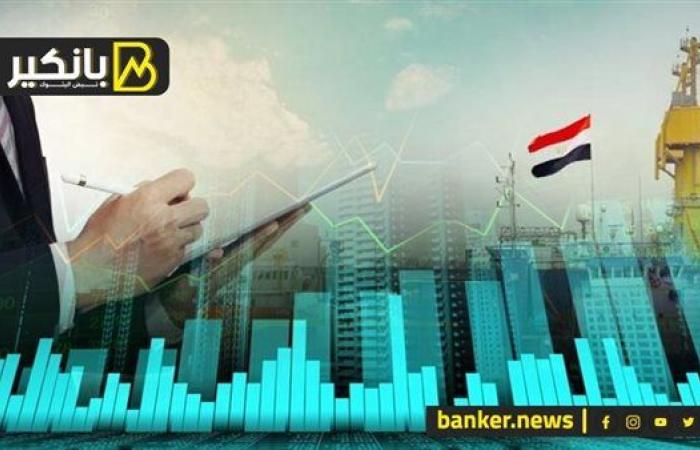 من القاهرة إلى العالم.. استثمارات الشركات المصرية تغزو الأسواق العالمية