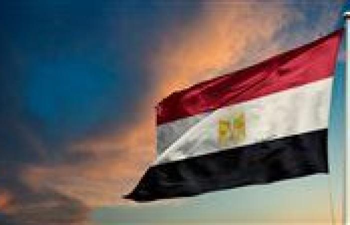 عاجل|مصر تدين الهجوم الذي استهدف القصر الرئاسي في تشاد