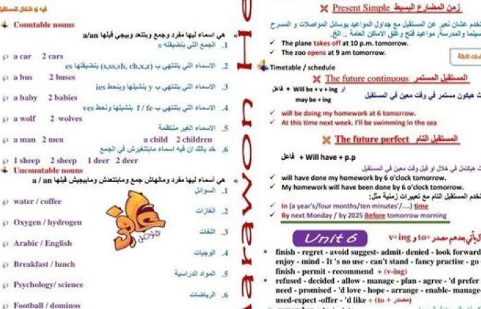 مراجعات نهائية.. مراجعة ليلة امتحان اللغة الانجليزية في 4 ورقات لـ الصف الأول الثانوي