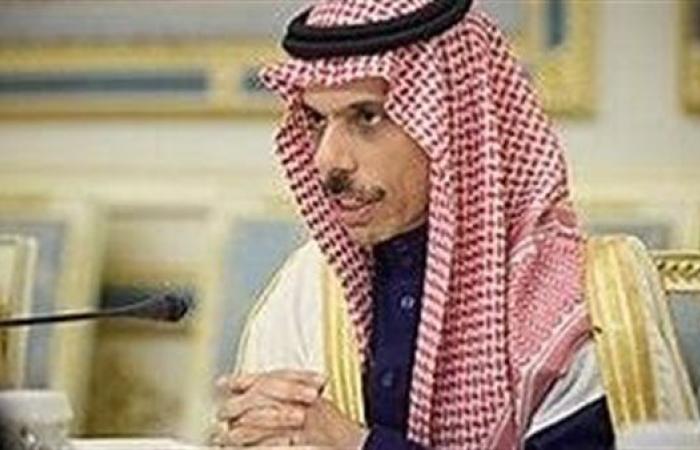 وزير الخارجية ونظيره السعودي يناقشان جهود مصر لوقف فوري ومستدام لإطلاق النار في غزة