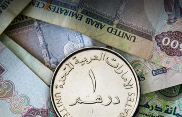 سعر الدرهم الاماراتي أمام الجنيه المصري في تعاملات اليوم الإثنين 13-1-2025