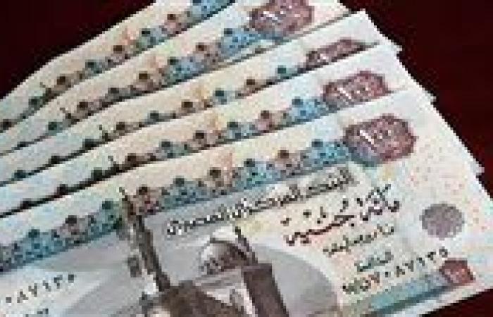 "متوفر".. مواعيد صرف مرتبات يناير وفبراير 2025